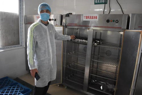 严把配餐关 守好安全线 阳溪中心小学组织教师代表检查配餐公司食品安全工作