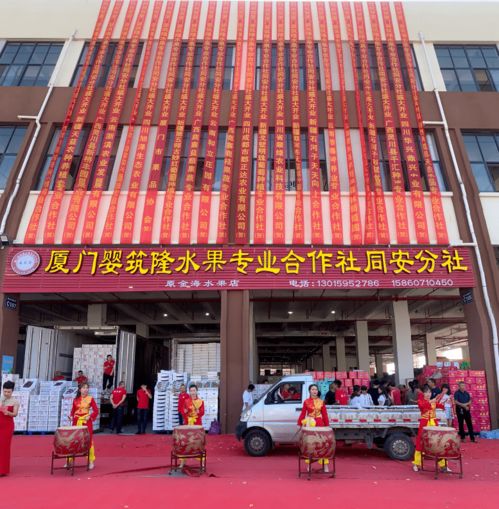 厦门最大 家门口的水果批发市场投用啦