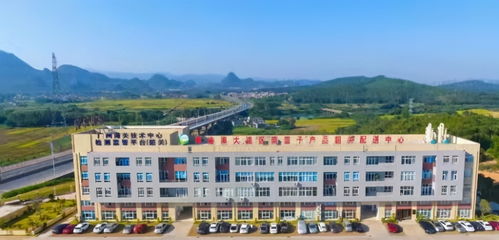 超燃 大湾区菜篮子产品韶关配送中心启用食品安全数智化综合平台